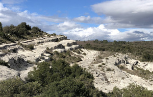 NOTRE-DAME DE LONDRES  : Les marches des géants
