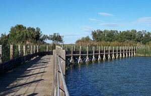 LATTES : Maison de la Nature