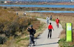 De LATTES à PALAVAS