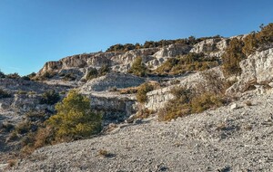 NOTRE-DAME DE LONDRES  : Les marches des géants