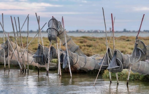MAUGUIO : les sentiers du cabanier