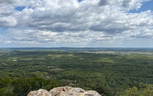 GARRIGUES : Le bois de Paris