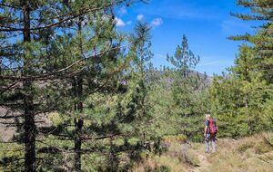 CAMPLONG : l'Arboretum de l'Espaze