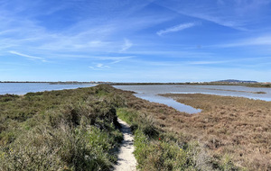 VIC-LA-GARDIOLE : le bois des Aresquiers et les salins de Frontignan