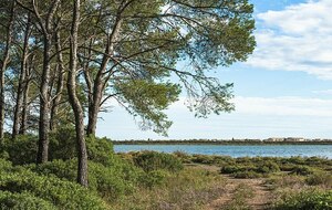 VIC-LA-GARDIOLE : le bois des Aresquiers et les salins de Frontignan