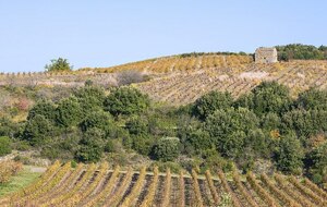 FAUGÈRES : Oenorando Nature et Culture