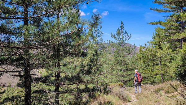 CAMPLONG : l'Arboretum de l'Espaze
